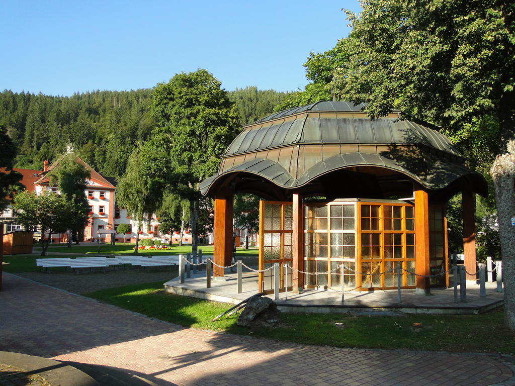 Alb Studio St. Blasien Buitenkant foto