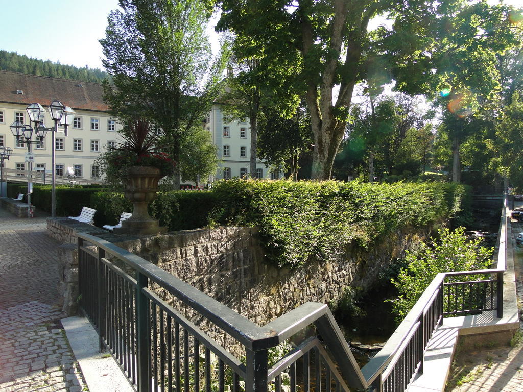 Alb Studio St. Blasien Buitenkant foto