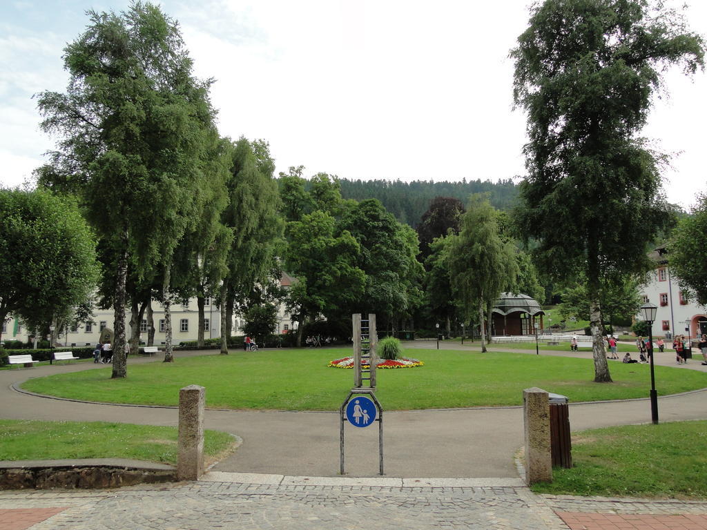 Alb Studio St. Blasien Buitenkant foto